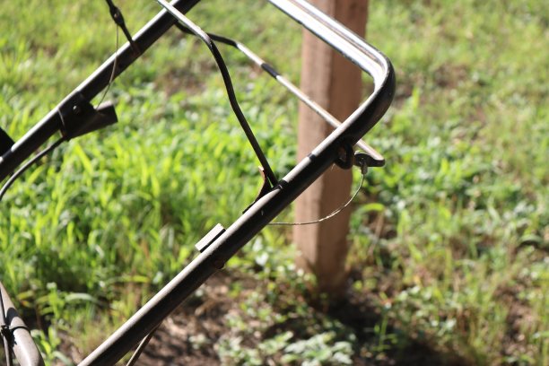 院子里有割草机图片下载