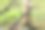 院子里有割草机图片下载
