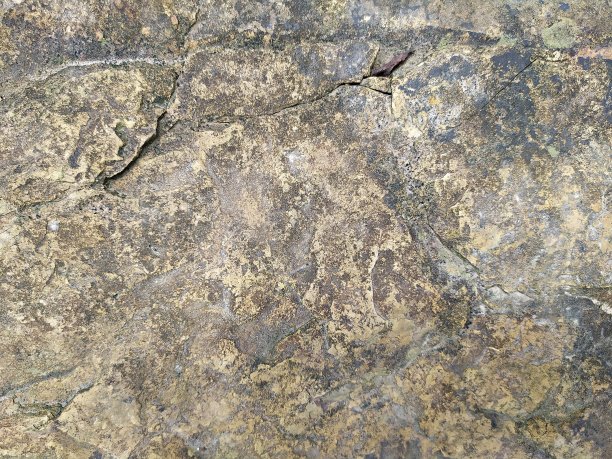 详细的石材纹理背景图片下载