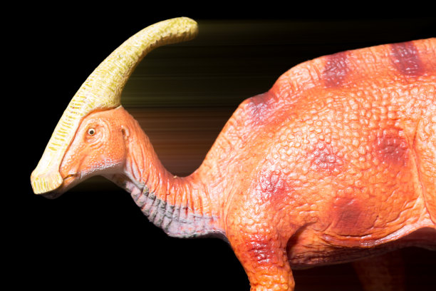 快速奔跑的副栉龙，黑色背景上有条纹图片下载