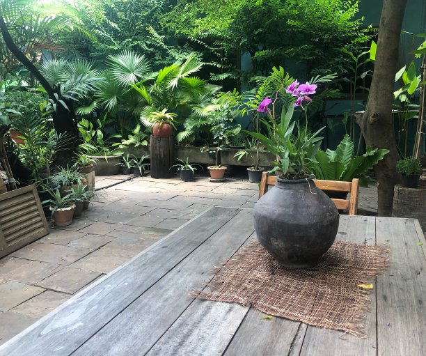 种植紫色兰花的花瓶被放在花园区域的木制餐桌上图片下载