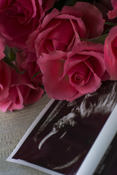 几朵粉色玫瑰和一张宝宝的超声波照片图片下载