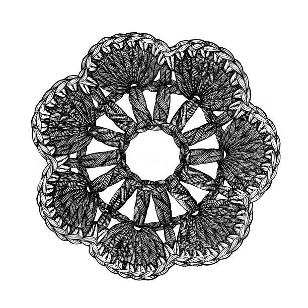 花边Doily古董插图图片下载