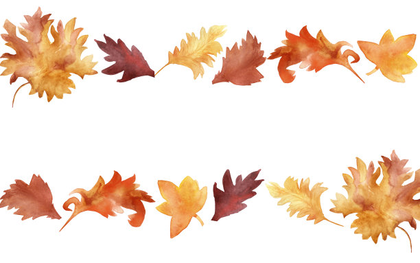 水彩横幅的橙色，黄色和红色的秋叶孤立在白色的背景。图片下载
