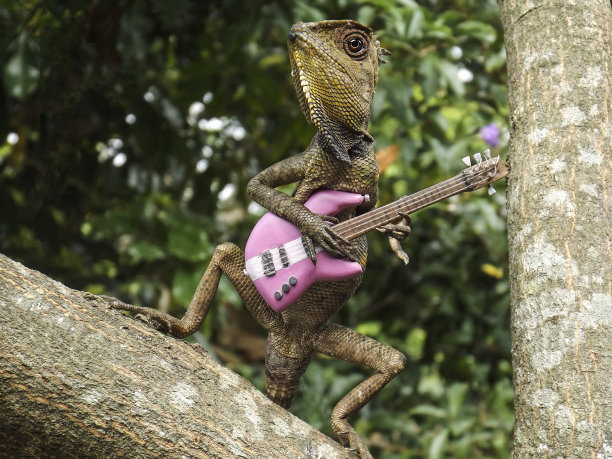 摇滚乐图片下载