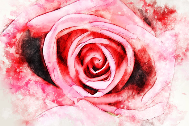 抽象特写彩色玫瑰花水彩插画背景。图片下载