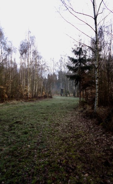 霍奇齐茨图片下载