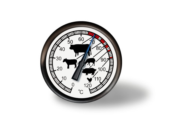 肉类温度计孤立在白色背景与阴影图片下载