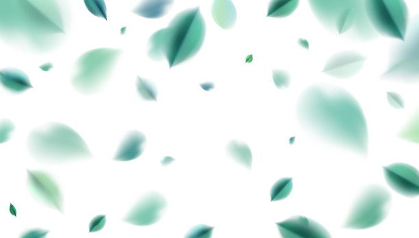 绿色的春天，大自然的背景与树叶图片下载