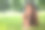 美丽微笑的女人躺在夏季公园的绿草地上图片下载