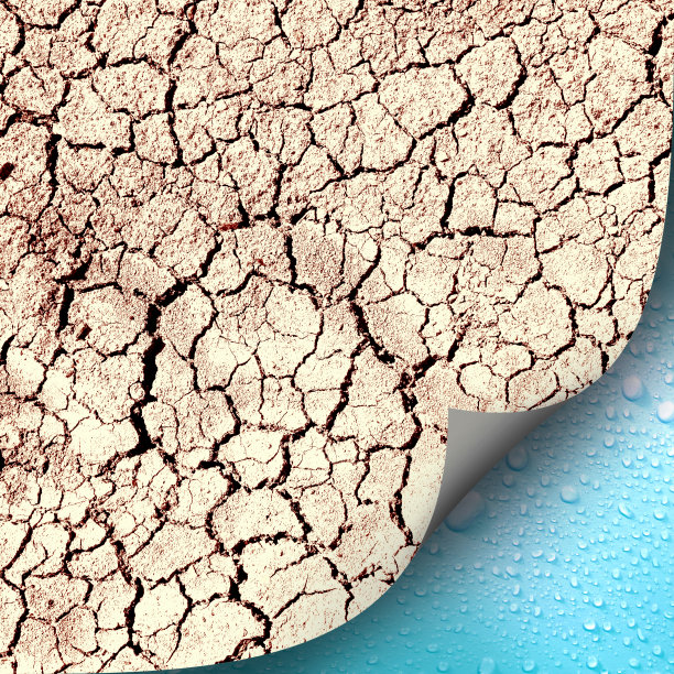 龟裂的旱地在雨点上从角落卷曲起来图片下载