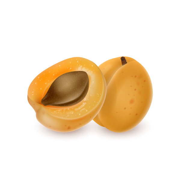 杏和半杏现实的水果设置孤立的白色背景。图片下载