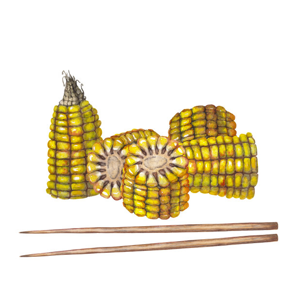 用于烹饪和烧烤的玉米棒切片图片下载