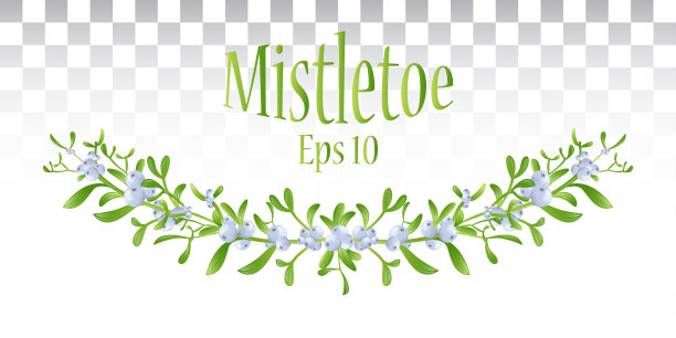 圣诞装饰。槲寄生做成的一个宽大的花环。圣诞花环。带有浆果和叶子的槲寄生小枝。Eps10向量图片下载