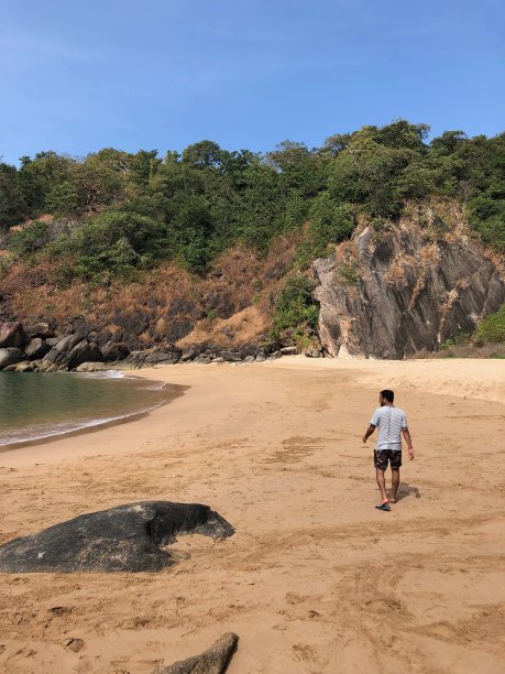 热带岛屿天堂的图像，蝴蝶海滩，Palolem，果阿，印度，棕榈树，私人附近的蜜月海滩与金色的沙子，温暖的绿松石海背景照片，岩石，悬崖面和游客度假图片下载