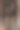 废弃的佛像在树干。图片下载