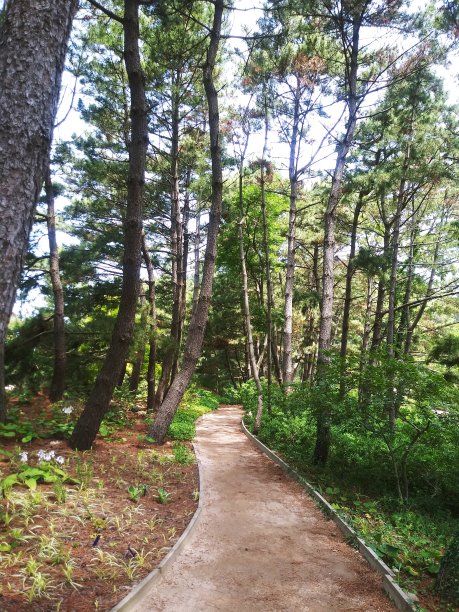 的花园图片下载