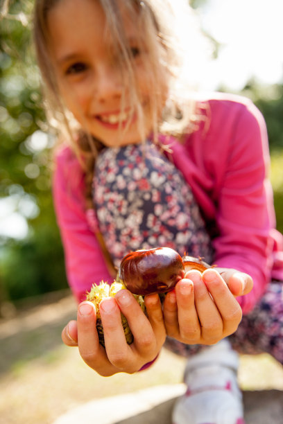 微笑的年轻女孩展示收集栗子图片下载