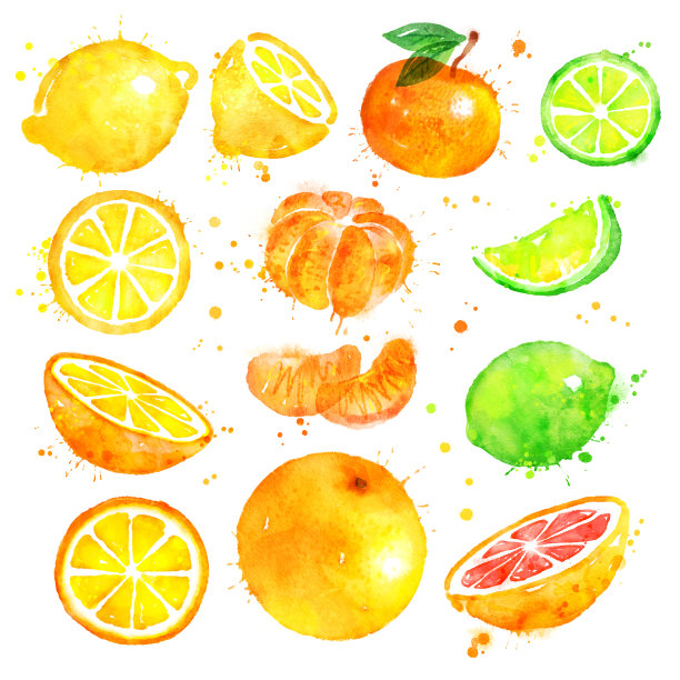 水彩插图一套柑橘类水果素材图片
