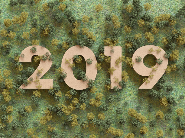 2019年在树林里，3D渲染图片下载