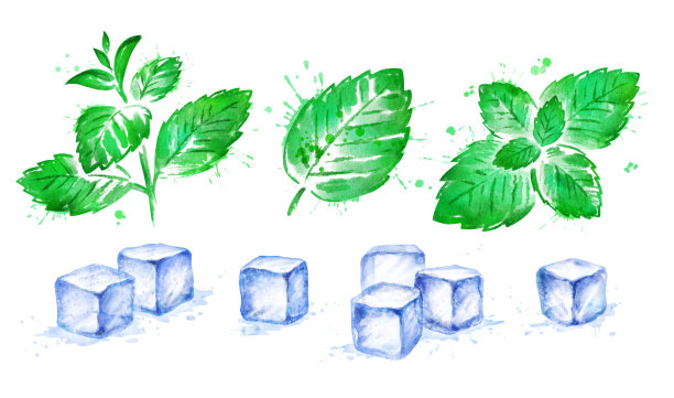 水彩手绘插画薄荷叶图片下载