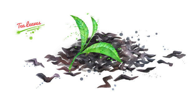 绿色和干茶叶的插图图片下载