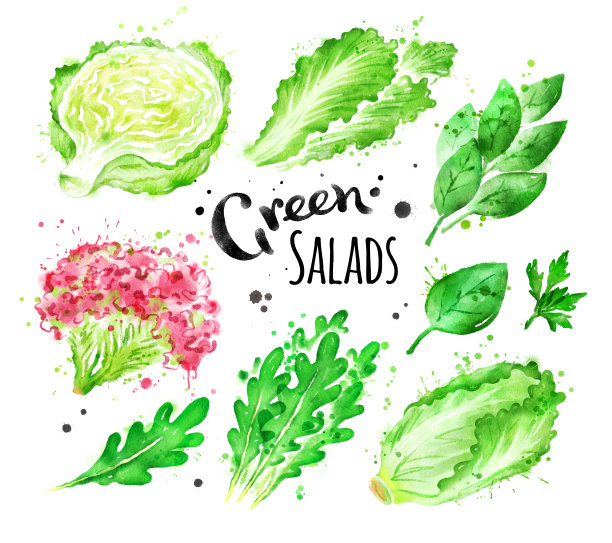 水彩绿色沙拉图片下载