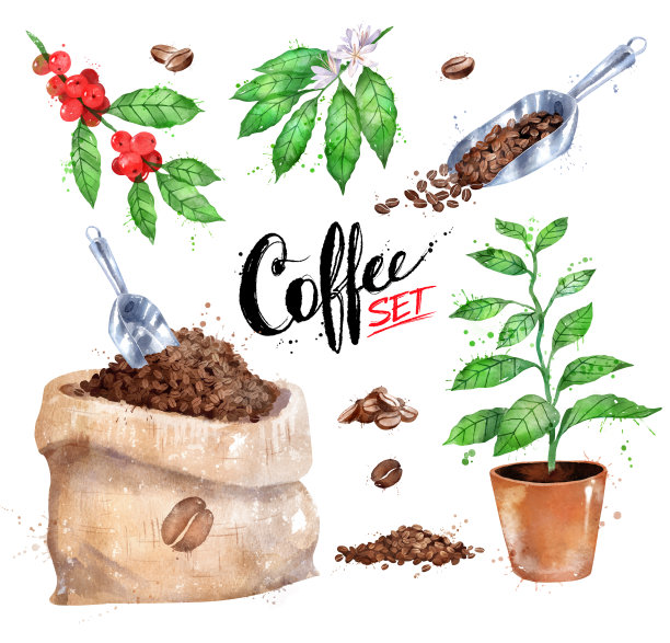 插图一套咖啡袋浆果和树图片下载