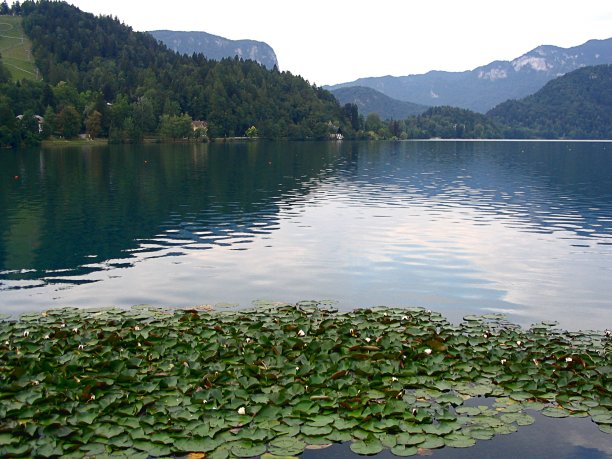 流血湖全景，斯洛文尼亚图片下载