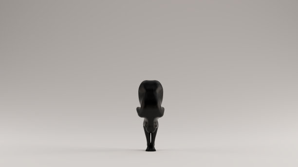 黑人瑜伽妇女在向前折叠弯曲的位置包裹在黑色图片下载