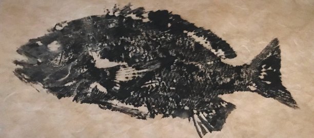 一条鱼打印图片下载