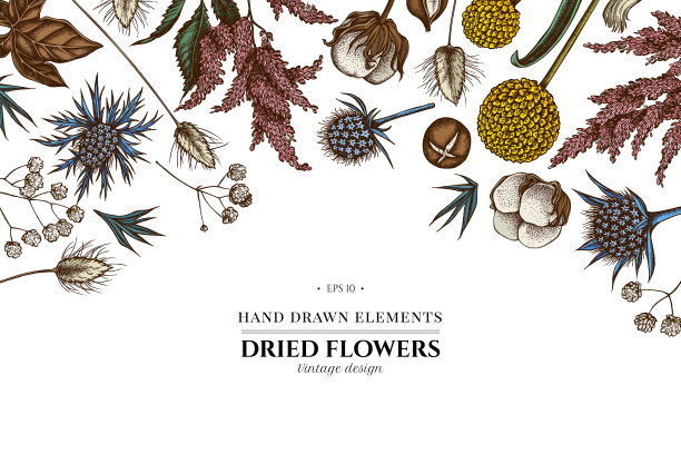 花图案与彩色落妇花，菊苣，蓝杏花，兔耳草，棉花，吉普赛花图片下载