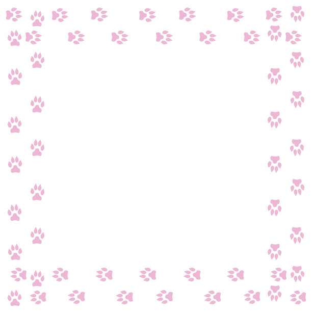 在白色背景上有狗的踪迹。矢量插图。图片下载