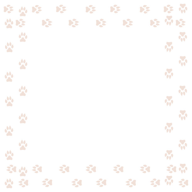 在白色背景上有狗的踪迹。矢量插图。图片下载