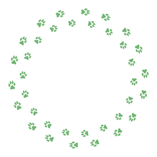 圆形框架与狗的足迹孤立在白色的背景。矢量插图。图片下载