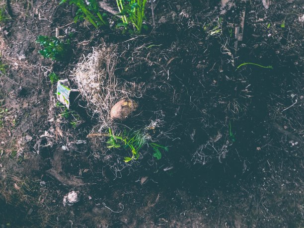 DIY木制户外堆肥箱图片下载