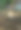 森林里的一个小香菇图片下载
