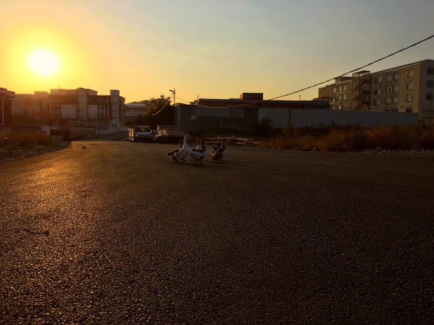 在伊斯坦布尔市的道路中间。图片下载