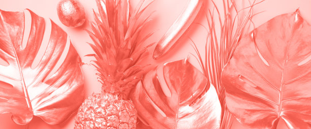 创造性的布局。金色菠萝和金色棕榈，怪物在时髦的珊瑚色背景与复制空间。前视图。热带平。异域美食概念，疯狂潮流。横幅图片下载