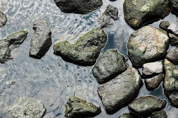 海浪平静的多岩石的海湾图片下载