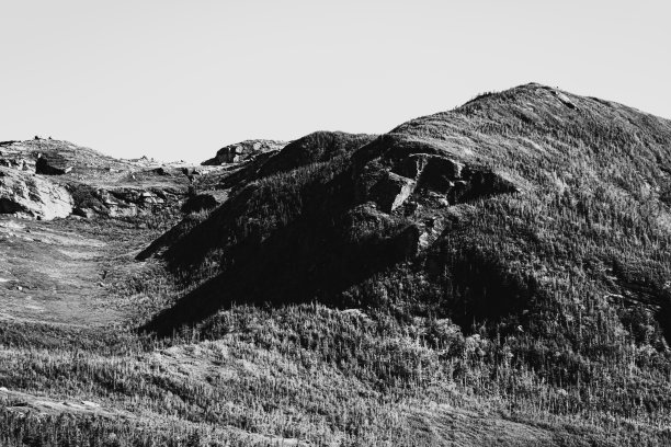 纽芬兰的荒野图片下载