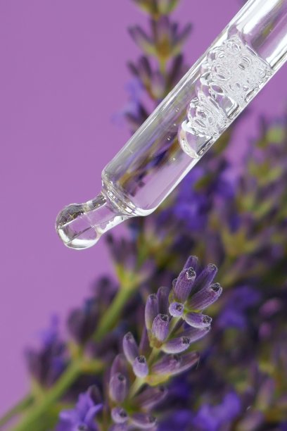 薰衣草精油。玻璃移液管与清楚的油和薰衣草花近距离上明亮的丁香背景。植物化妆品的概念图片下载
