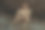 性感的运动肌肉美丽的条纹男模特与白色的毛巾和泳衣在自然的背景与大海和岩石，沙子和天空在海滩上的日落图片下载