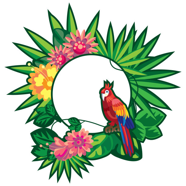 丛林背景向量中的鹦鹉图片下载