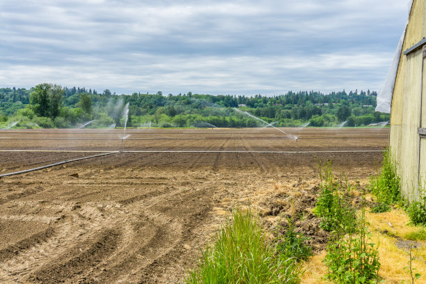 洒水器在新领域6图片下载