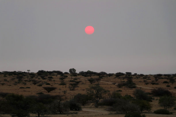 美丽的日落-纳米比亚非洲图片下载