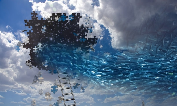 超现实的鱼与天空图片下载