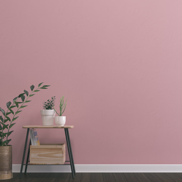 空墙背景与装饰图片下载