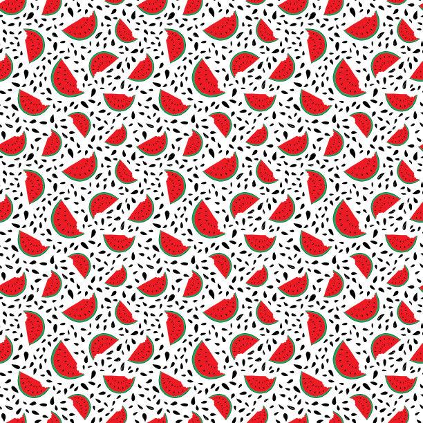 西瓜无缝图案手绘。矢量图图片下载