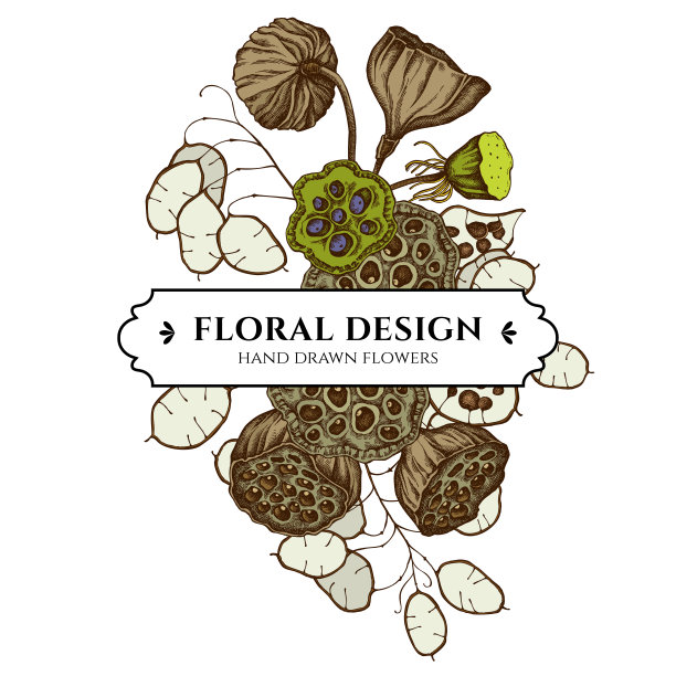 花束设计有彩色羽毛草、荷花、月牙花图片下载